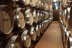 Cantina-serego-Alighieri-3