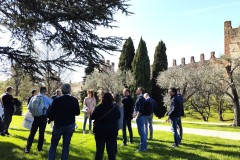 Lazise-1