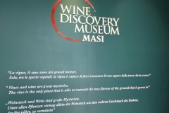 Wine-Museum-1